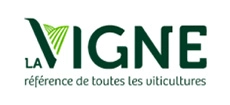 Logo de "La Vigne"